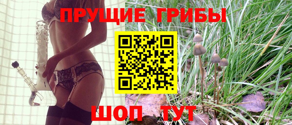 Галлюциногенные грибы Magic Shrooms Кохма